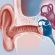 Гигиена уха и слуха