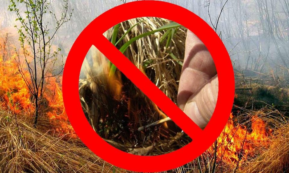 Внимание! Запрет выжигания сухой травы!